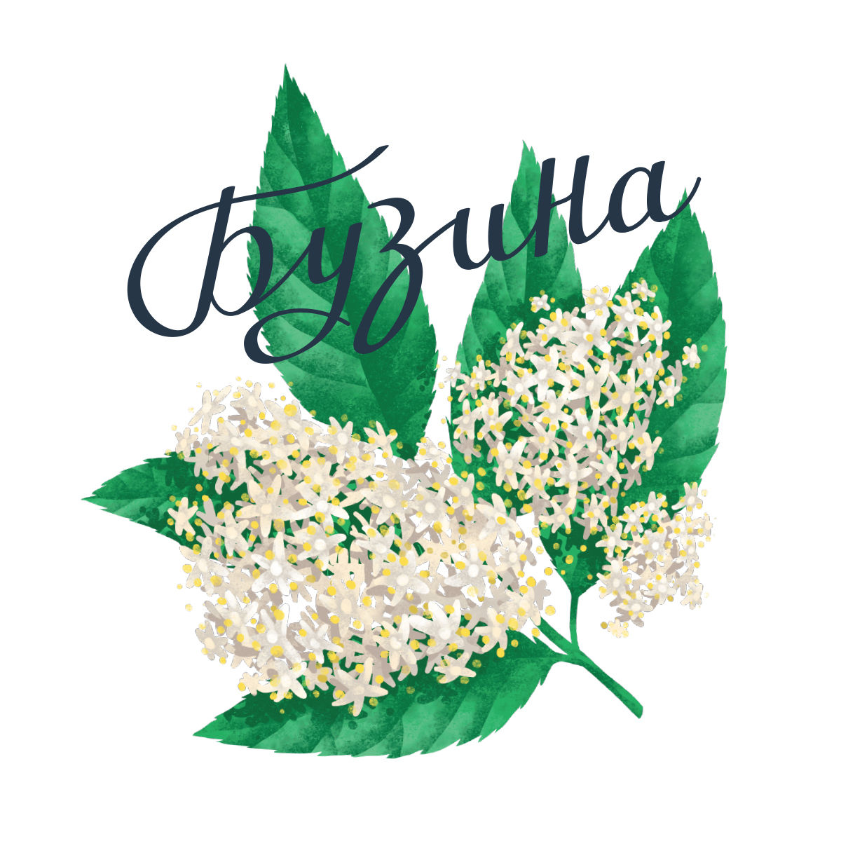 糖漿包裝設(shè)計看著像洗發(fā)水?(圖4) 糖漿包裝設(shè)計看著像洗發(fā)水?(圖4)