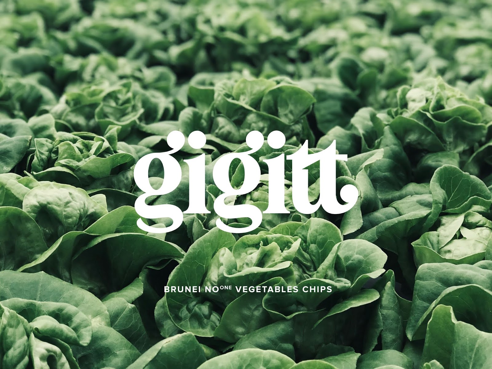 蔬菜干零食包裝設(shè)計(jì)(圖2) 蔬菜干零食包裝設(shè)計(jì)(圖2)