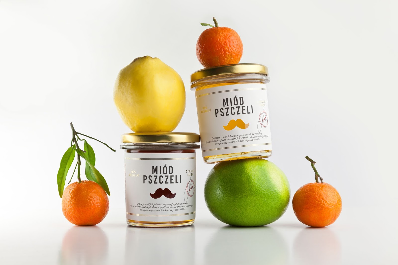 石家莊包裝設計(圖4)