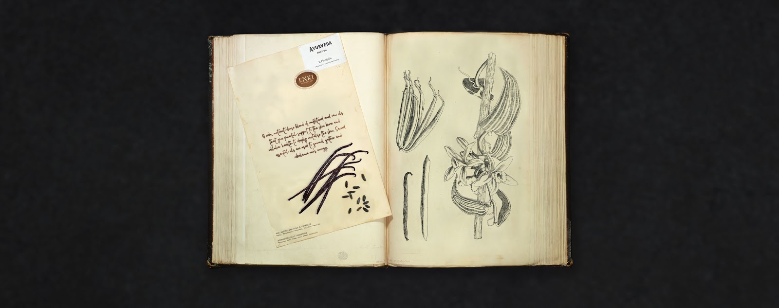 南昌禮盒設(shè)計-南昌禮盒設(shè)計公司(圖5) 南昌禮盒設(shè)計-南昌禮盒設(shè)計公司(圖5)