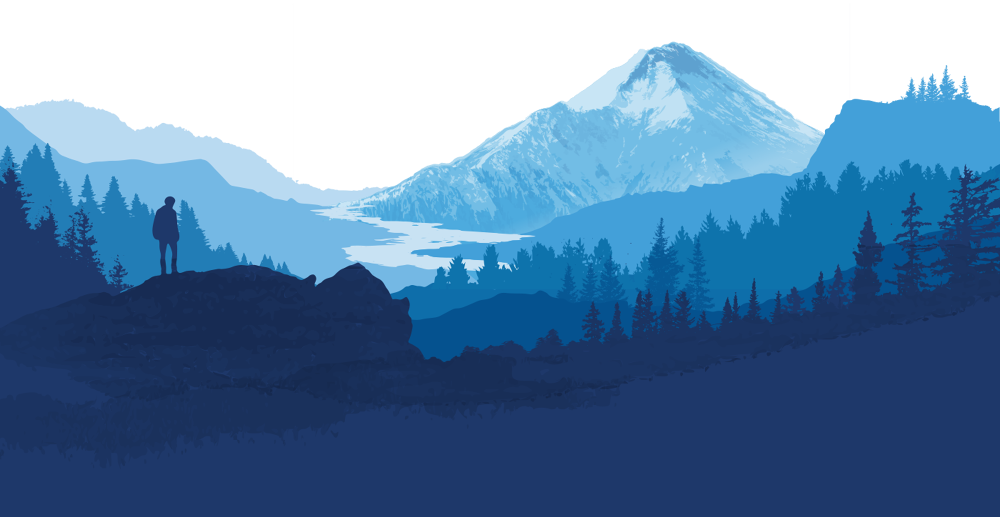 洗衣液包裝設(shè)計(jì)升級(jí)(圖6)