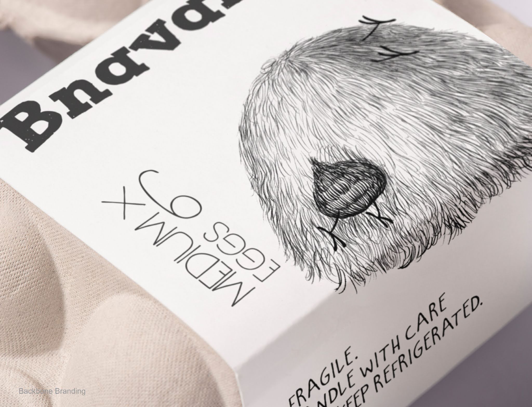 這款雞蛋的包裝非常值得借鑒(圖11)