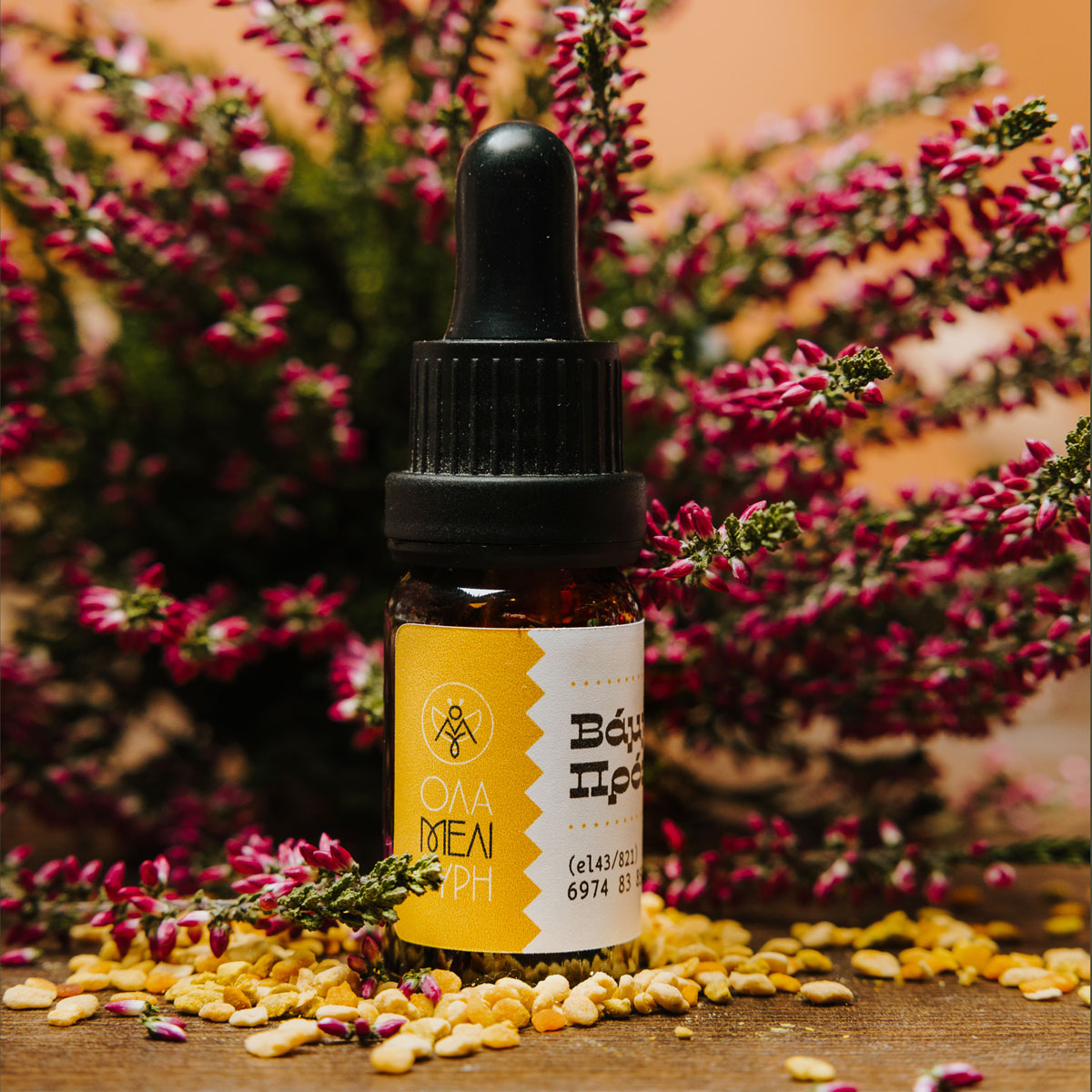 蜂蜜包裝設計參考簡約高端(圖12)