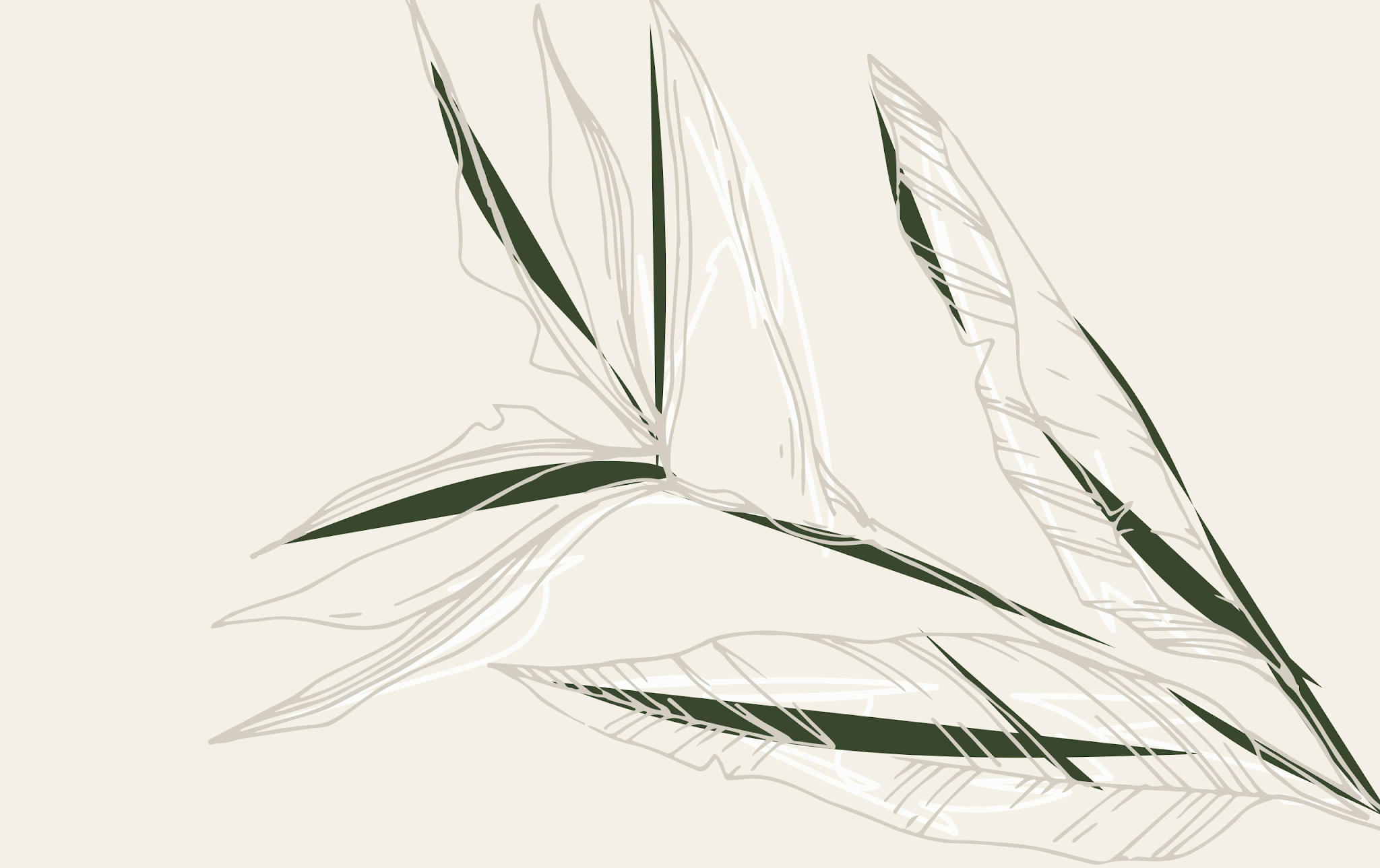 無殘留洗發水包裝設計(圖21)