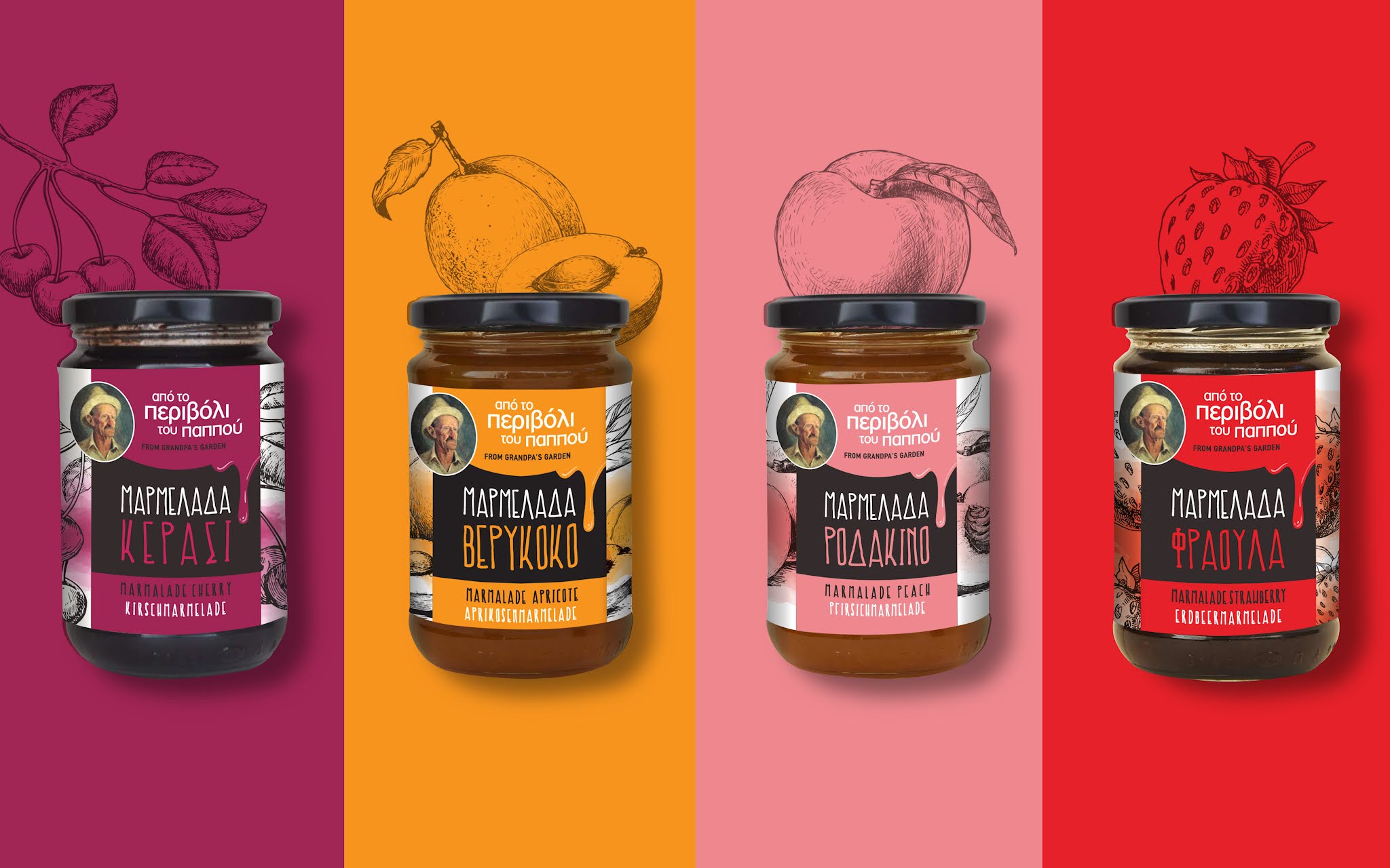 果干果醬的品牌怎么設(shè)計包裝(圖3)