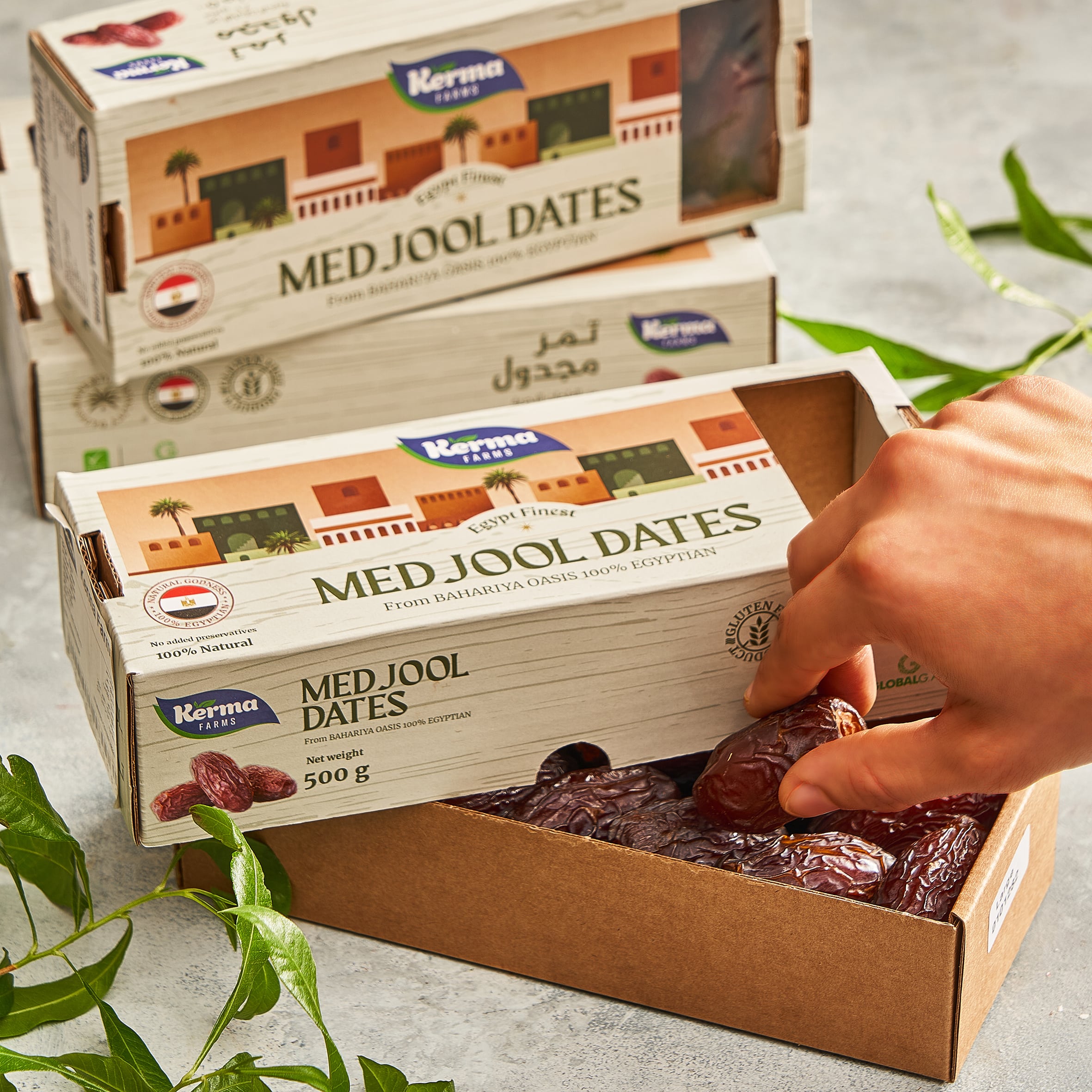 MEDJOOL DATES椰棗食品包裝設(shè)計(圖4)