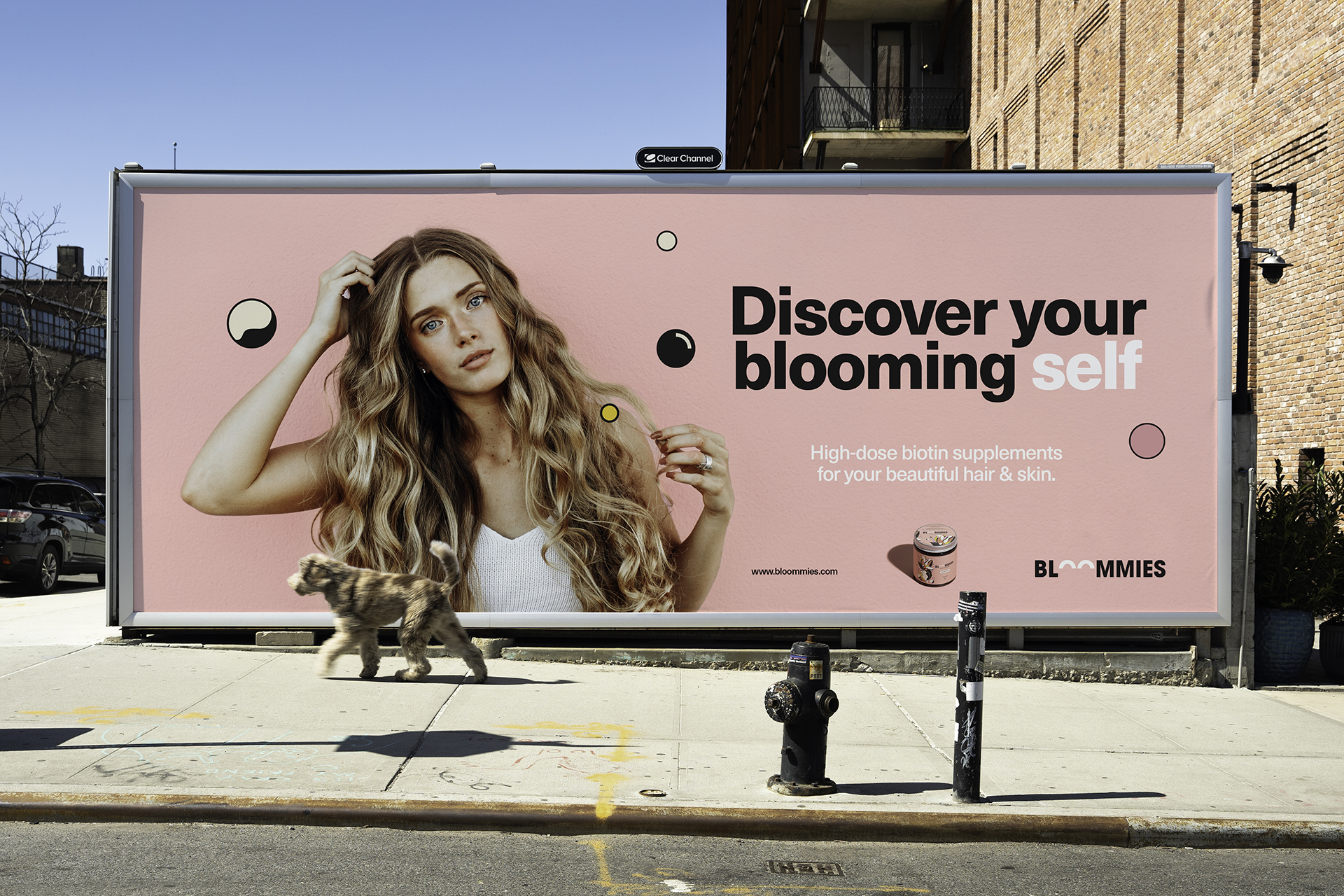 BLOOMIES頭發護理產品包裝設計(圖5)