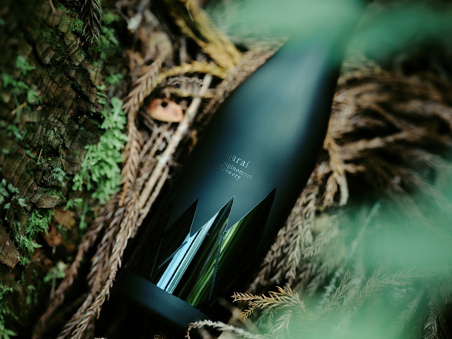 日本清酒創意包裝設計作品欣賞(圖4)