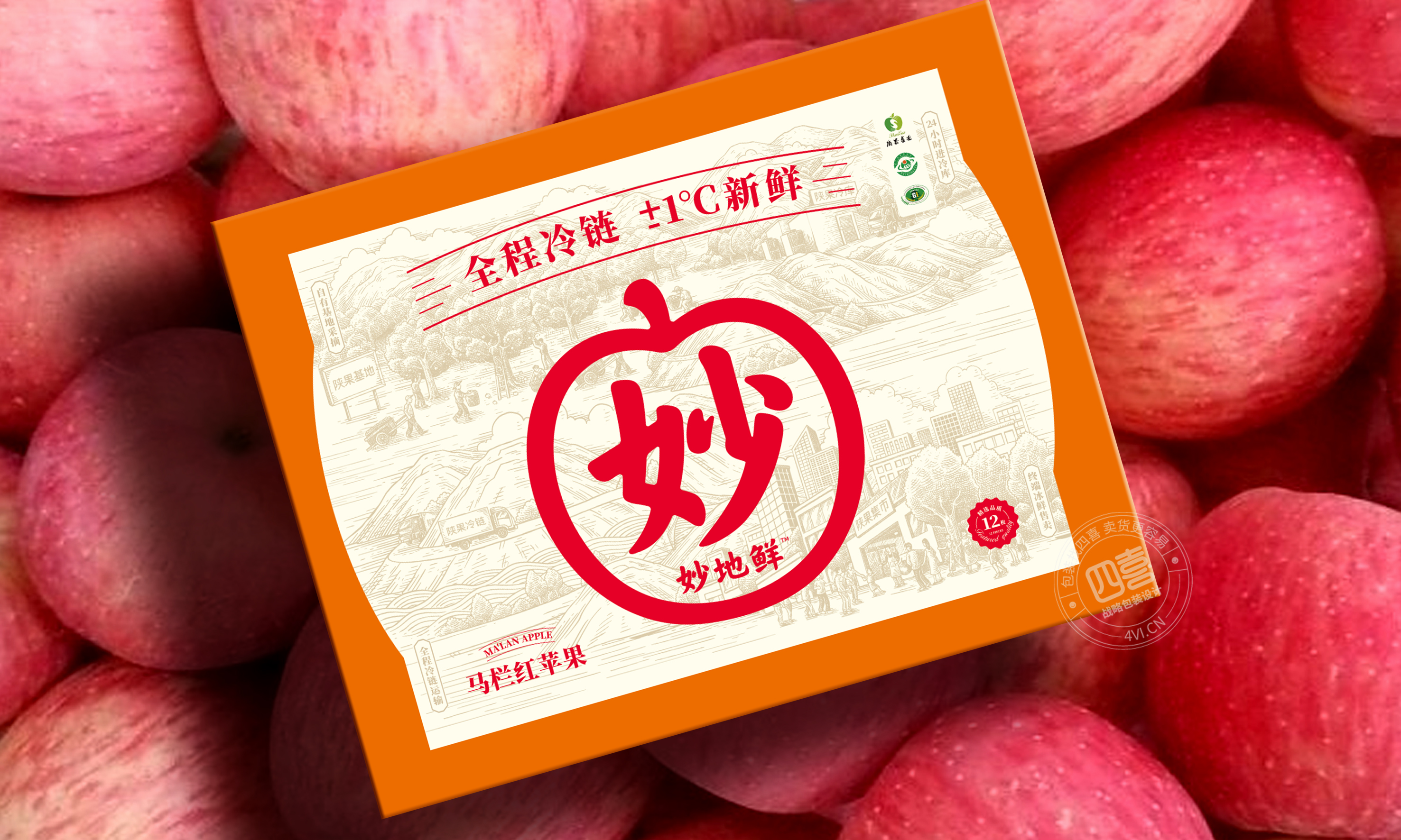 泰州包裝策劃公司產品創意包裝設計(圖2) 泰州包裝策劃公司產品創意包裝設計(圖2)