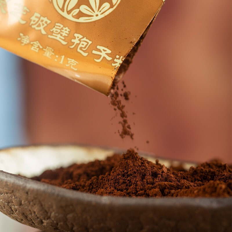 雷允上 破壁靈芝孢子粉 22g*3盒保健產(chǎn)品包裝創(chuàng)意設計欣賞(圖5)