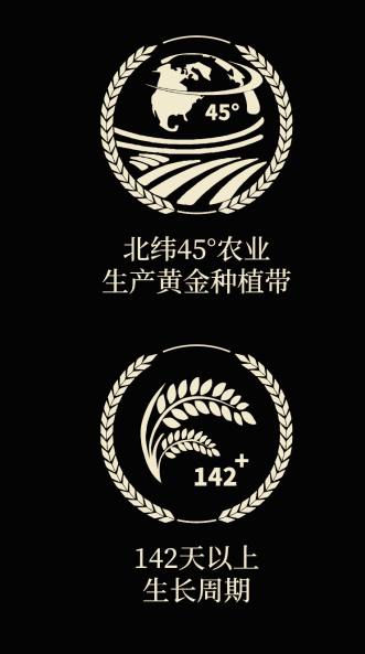 四喜如何通過包裝設計,讓金鶴黑珍珠大米彰顯高端定位(圖4) 四喜如何通過包裝設計,讓金鶴黑珍珠大米彰顯高端定位(圖4)