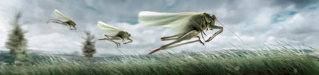 四喜：為什么說，成功營銷都是突破口營銷？(圖6)