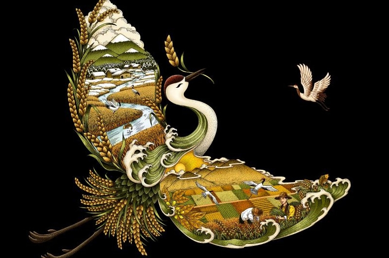 四喜如何通過包裝設計，讓金鶴黑珍珠大米彰顯高端定位