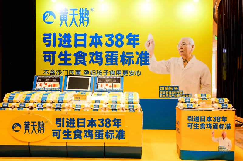 黃天鵝可生食雞蛋&大師小點蛋撻品牌包裝全案設計