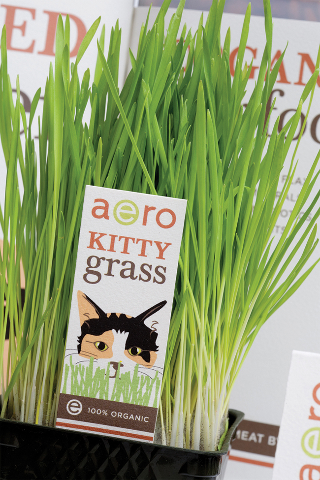 系列產品包裝設計參考(圖9) 系列產品包裝設計參考(圖9)