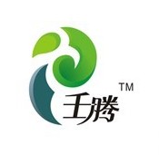 壬騰品牌logo設計欣賞與分析(圖1)