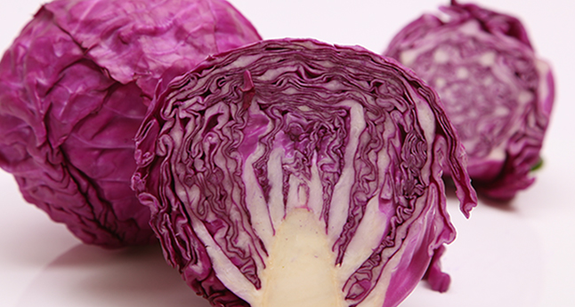 嘉仕有機 嘉仕有機食品包裝設計欣賞(圖3)