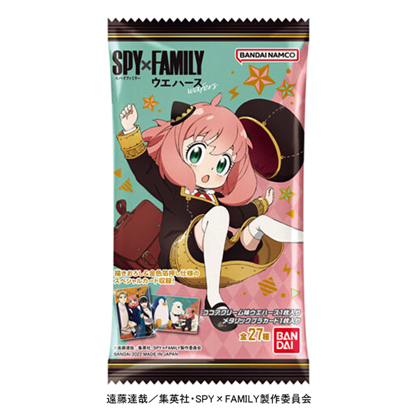 ×晶圓廠萬(wàn)代包裝設(shè)計(jì)(圖1)